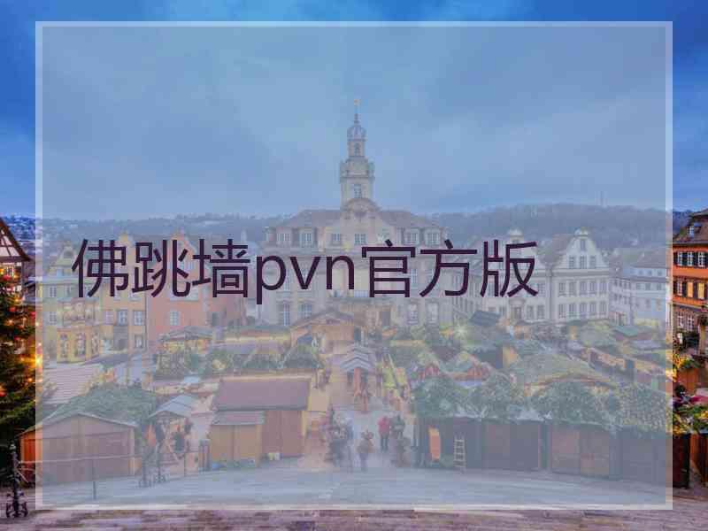 佛跳墙pvn官方版