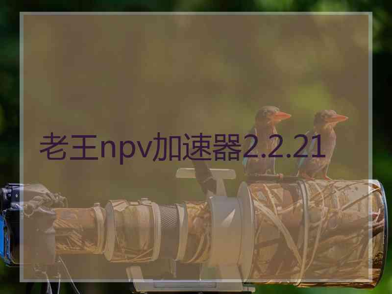 老王npv加速器2.2.21