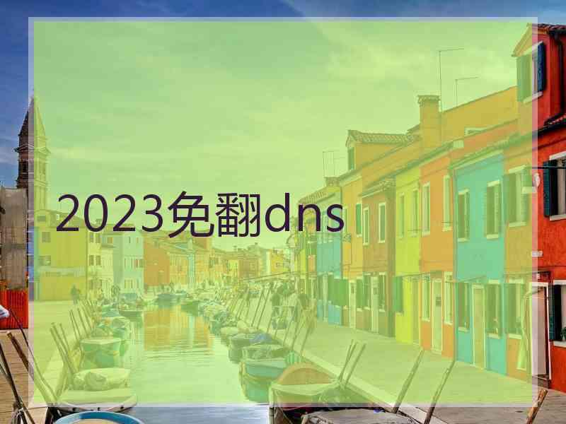 2023免翻dns