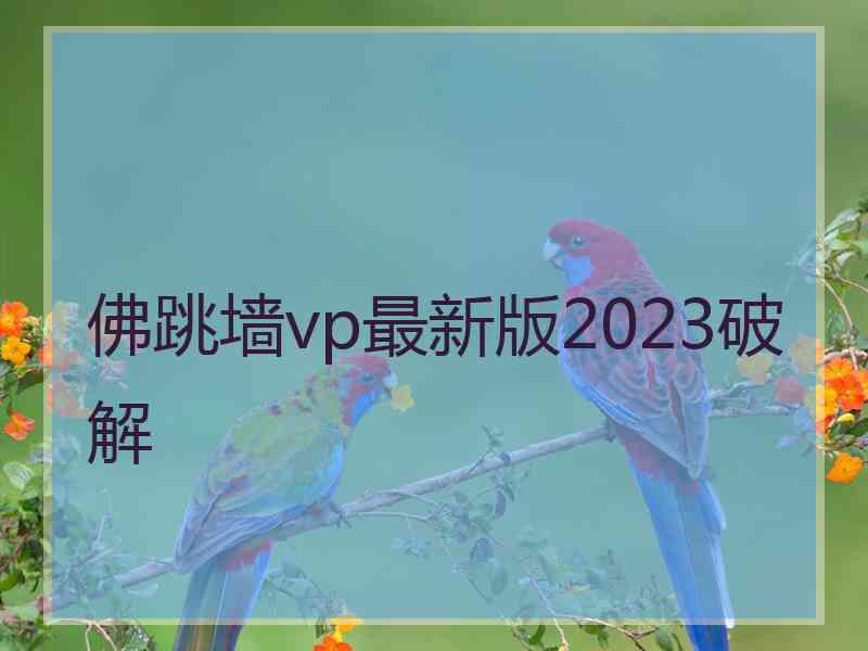 佛跳墙vp最新版2023破解