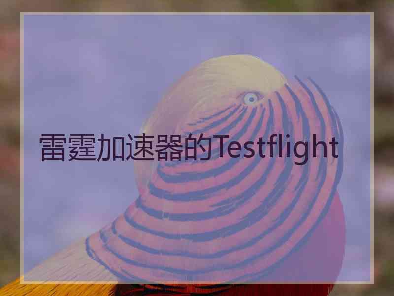 雷霆加速器的Testflight