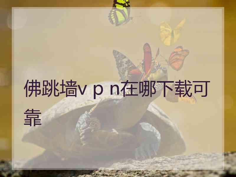 佛跳墙v p n在哪下载可靠