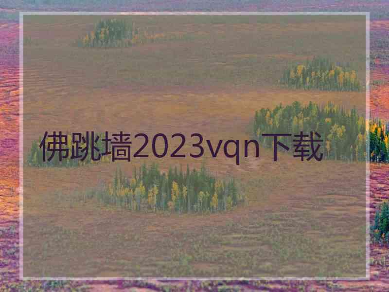 佛跳墙2023vqn下载