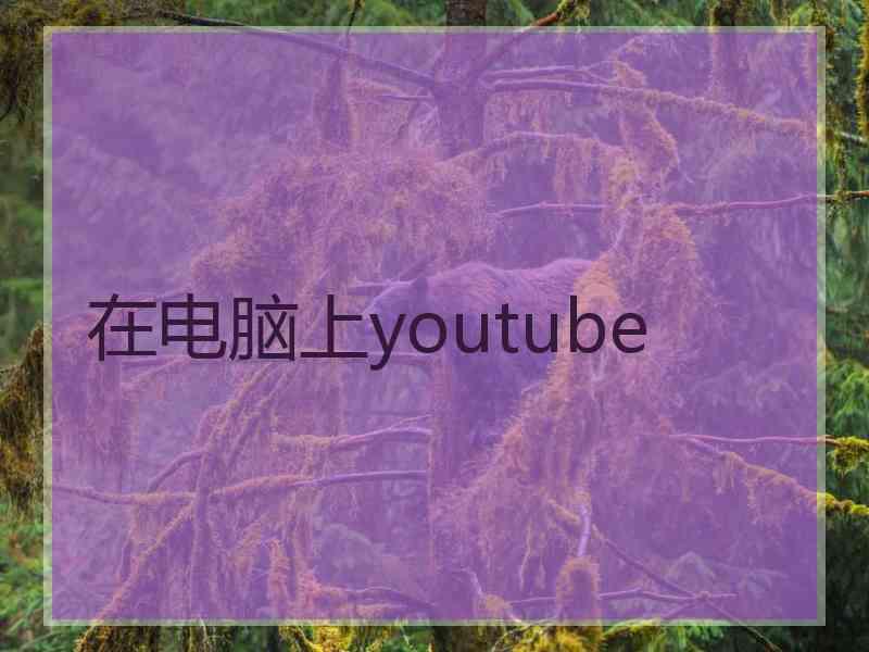 在电脑上youtube