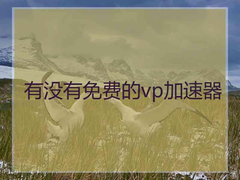 有没有免费的vp加速器