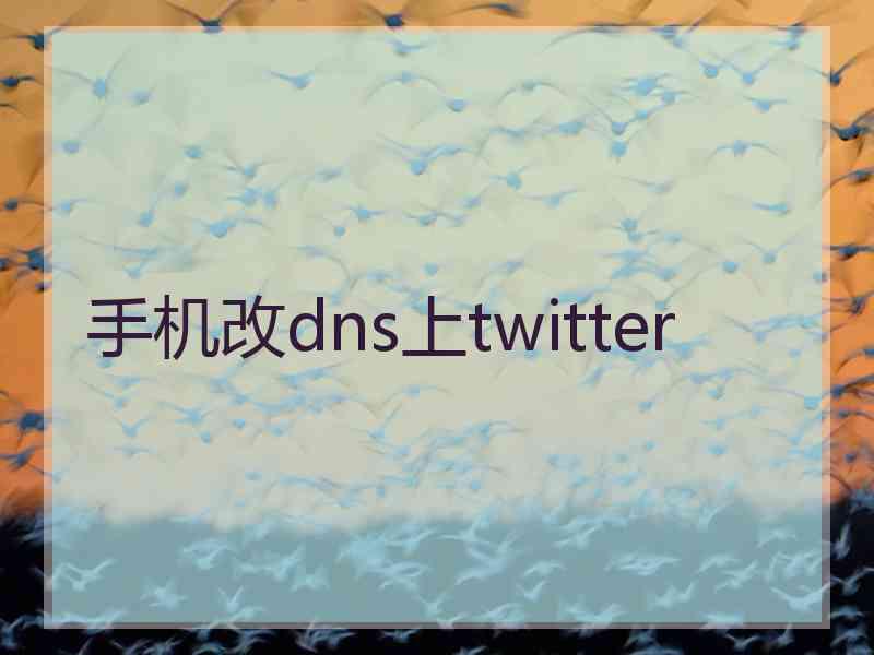 手机改dns上twitter