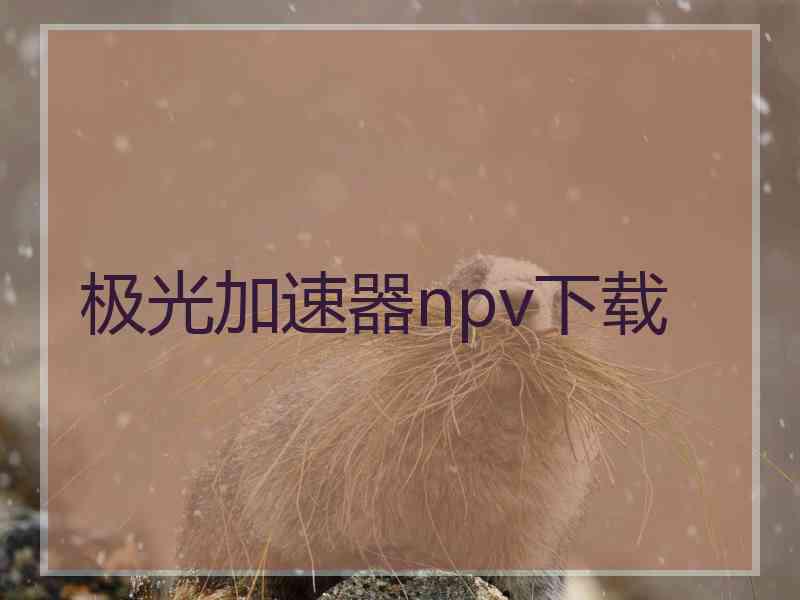 极光加速器npv下载