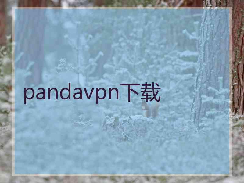 pandavpn下载