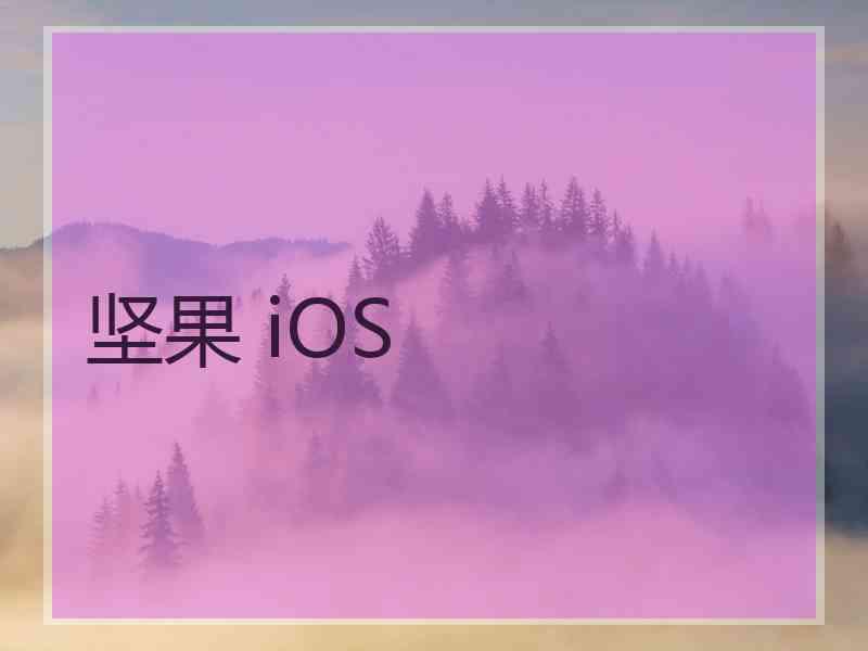 坚果 iOS