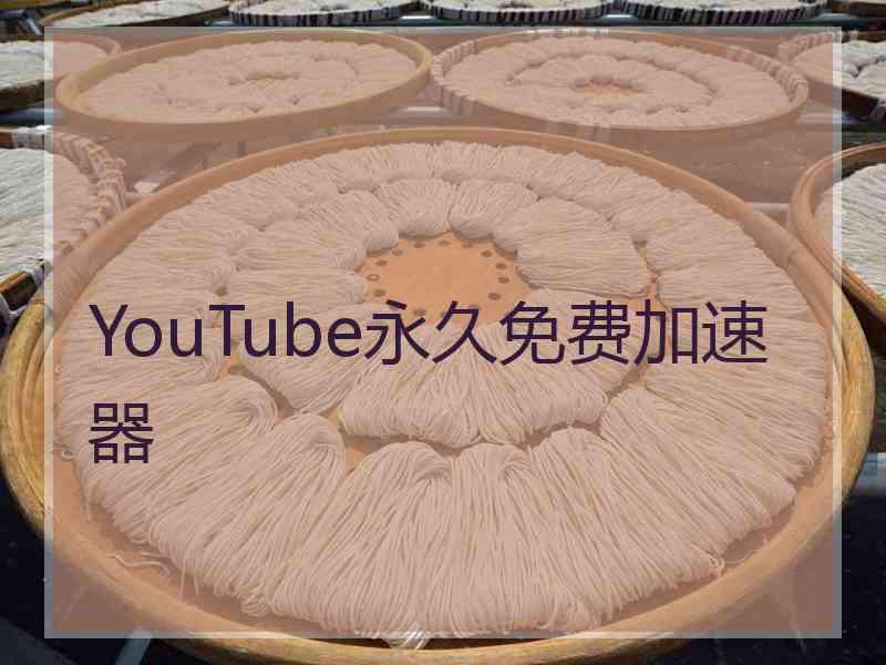 YouTube永久免费加速器