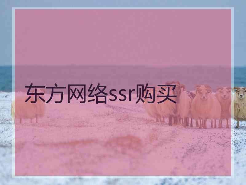 东方网络ssr购买