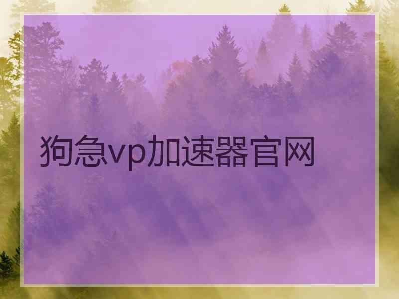 狗急vp加速器官网