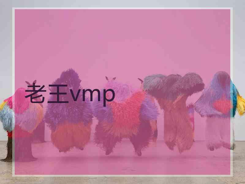 老王vmp