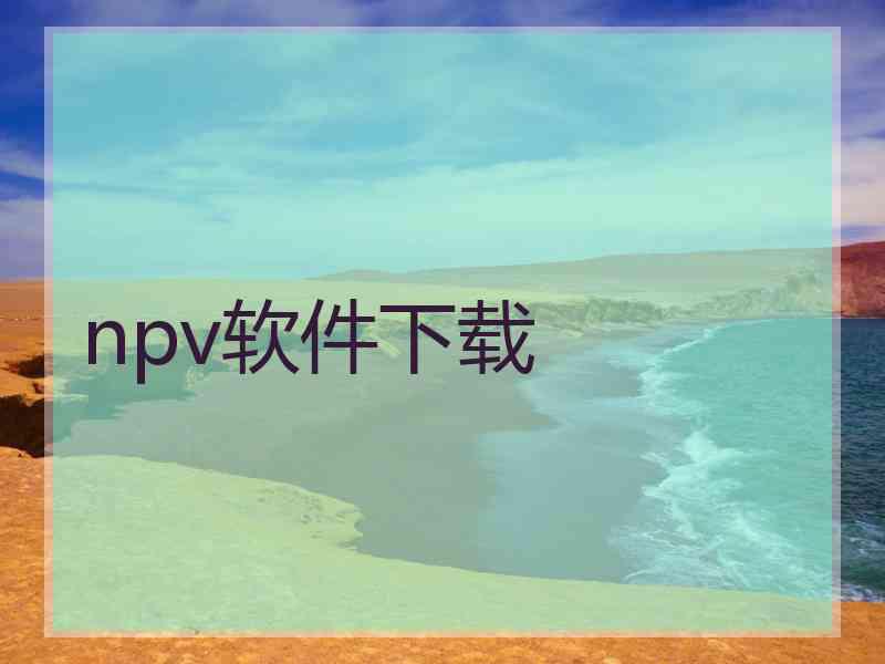 npv软件下载