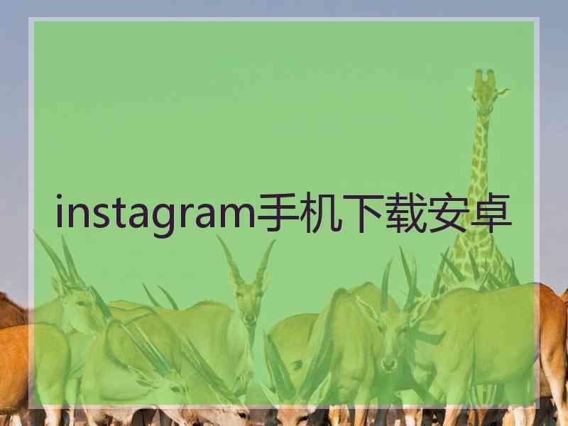 instagram手机下载安卓