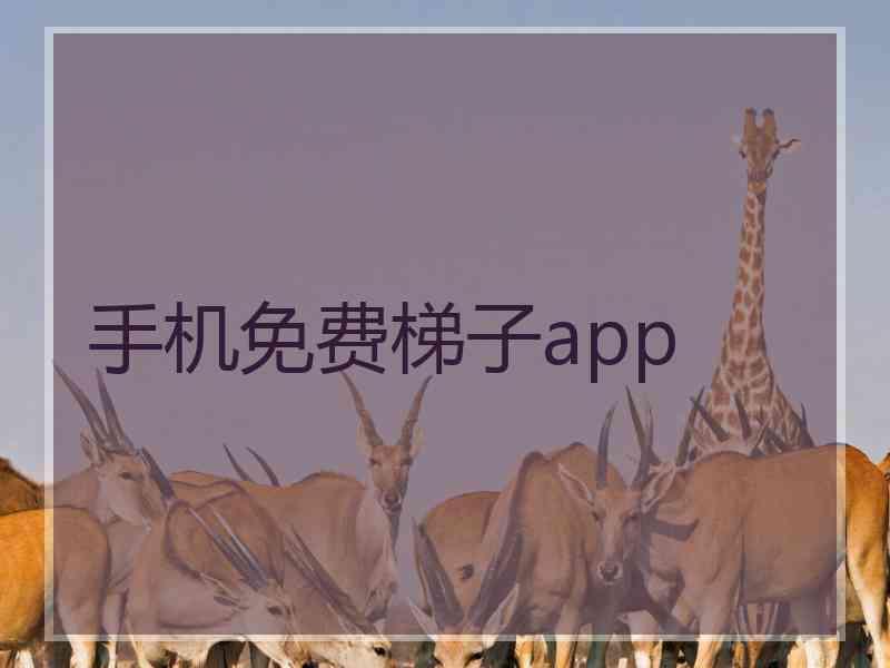 手机免费梯子app