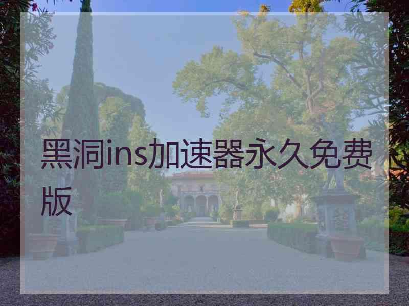 黑洞ins加速器永久免费版