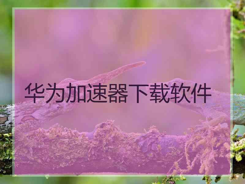 华为加速器下载软件