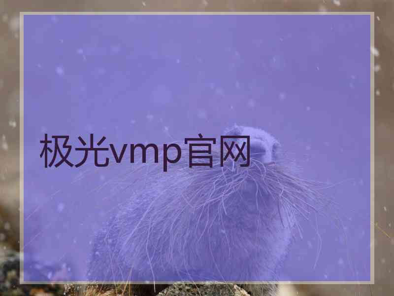 极光vmp官网