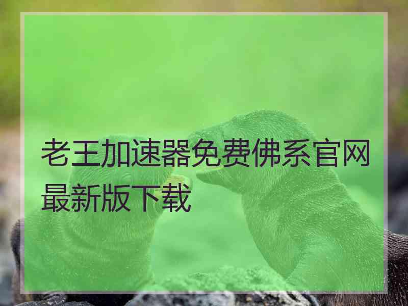 老王加速器免费佛系官网最新版下载