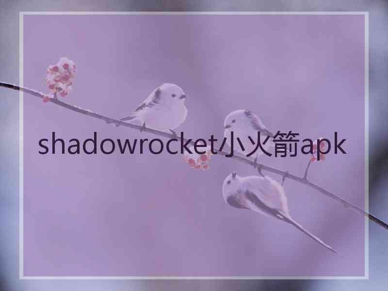 shadowrocket小火箭apk