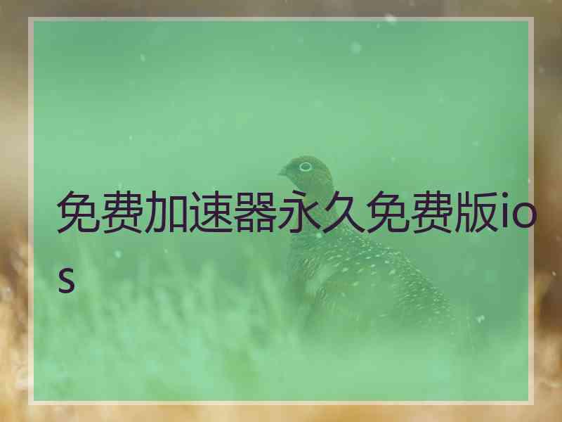 免费加速器永久免费版ios