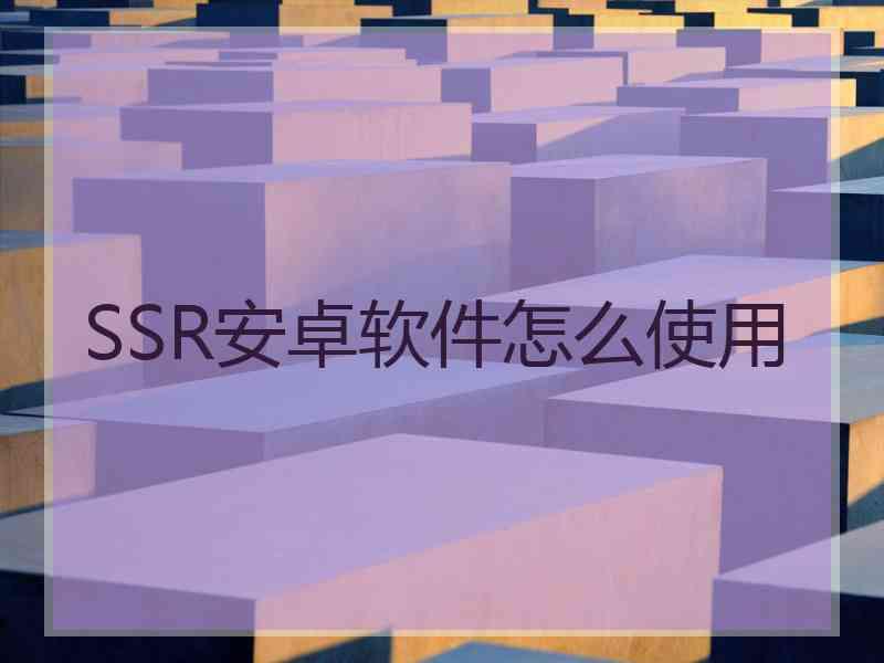 SSR安卓软件怎么使用