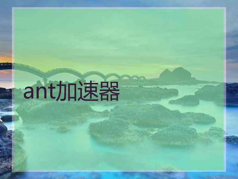 ant加速器