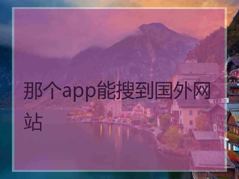 那个app能搜到国外网站