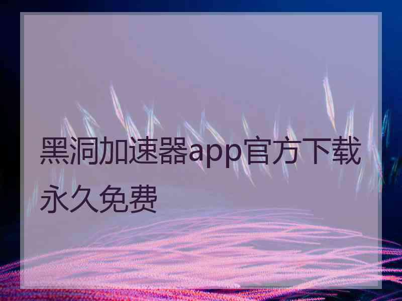 黑洞加速器app官方下载永久免费