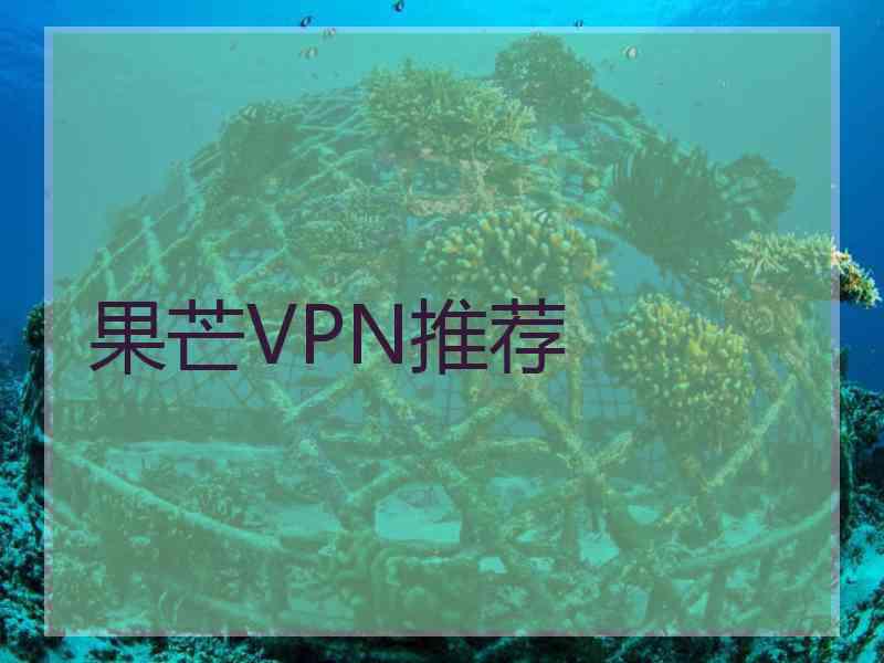 果芒VPN推荐