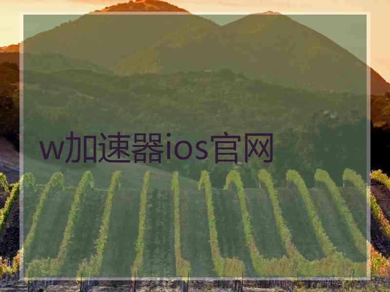 w加速器ios官网