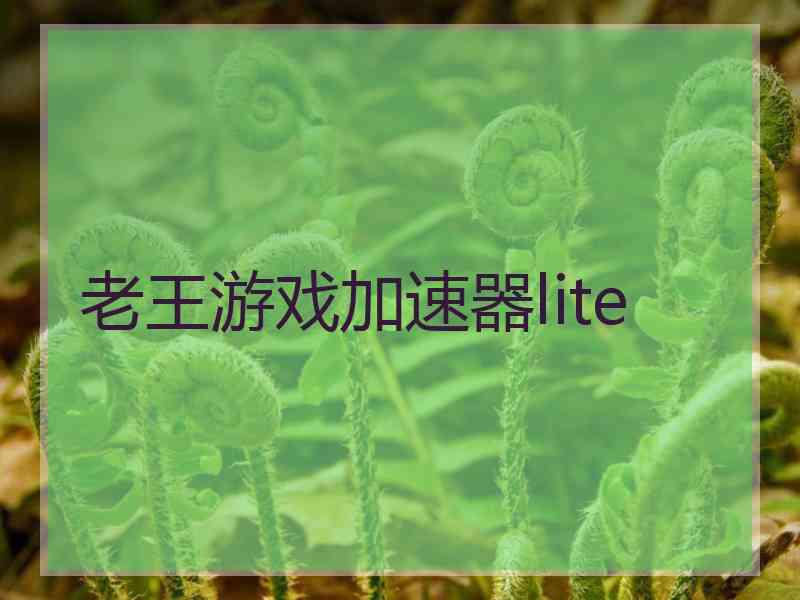 老王游戏加速器lite