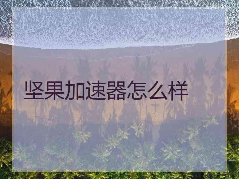 坚果加速器怎么样