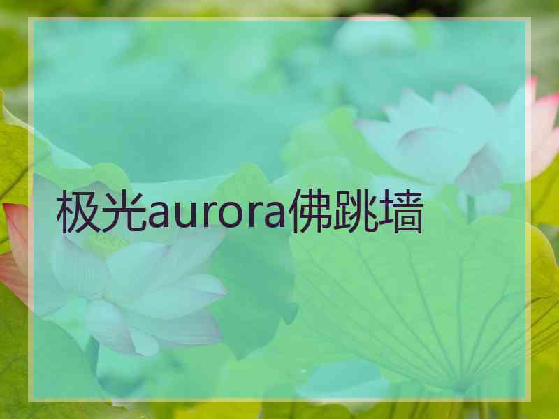 极光aurora佛跳墙