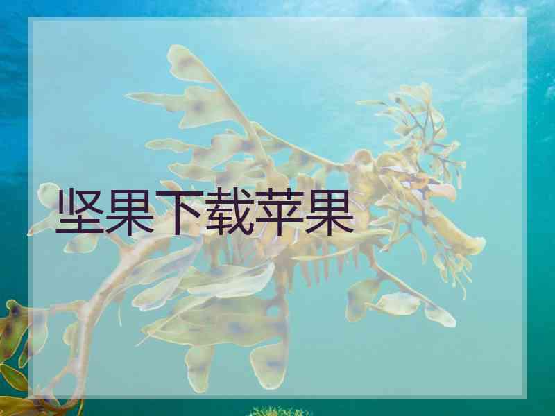 坚果下载苹果