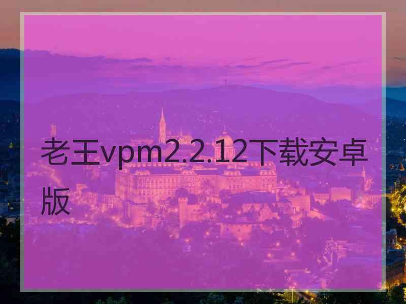 老王vpm2.2.12下载安卓版