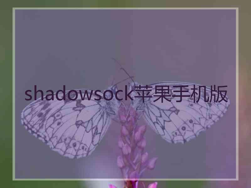 shadowsock苹果手机版