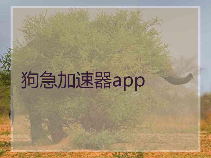 狗急加速器app