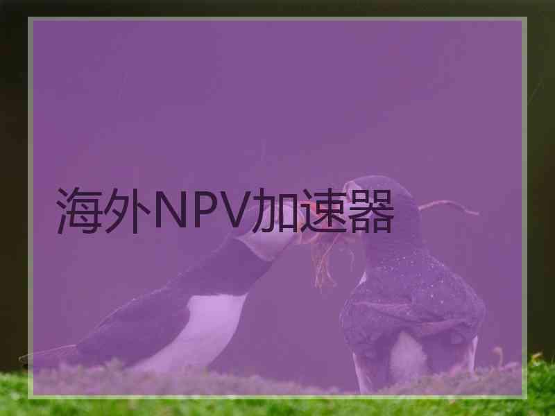 海外NPV加速器