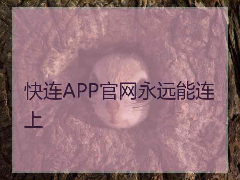 快连APP官网永远能连上