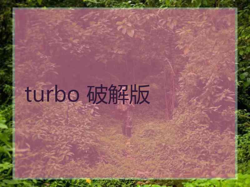 turbo 破解版