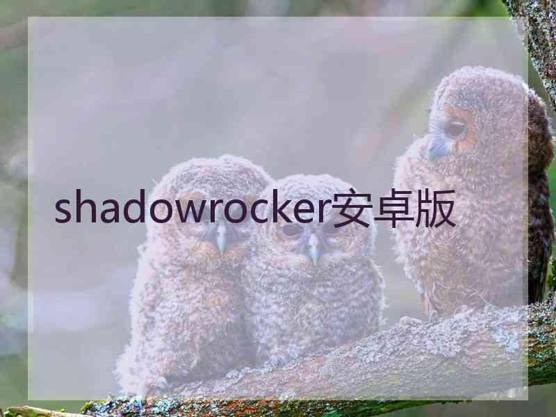 shadowrocker安卓版