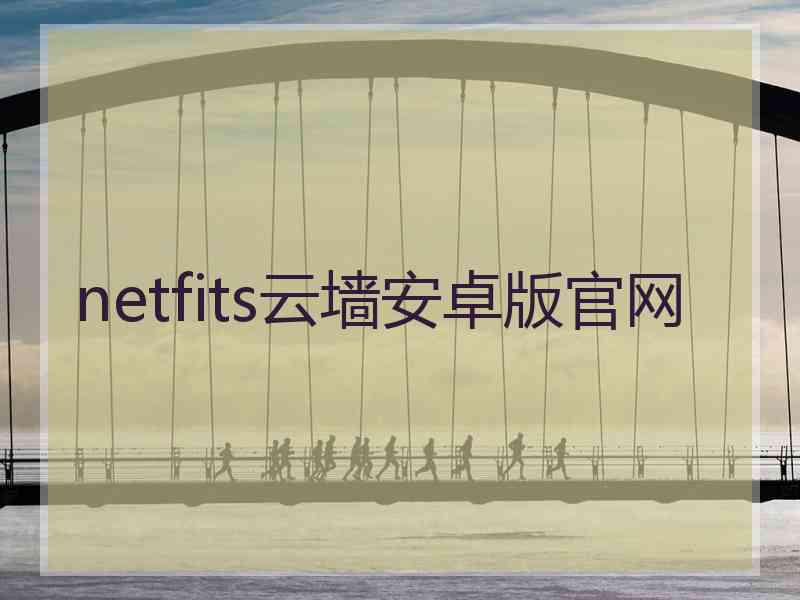 netfits云墙安卓版官网