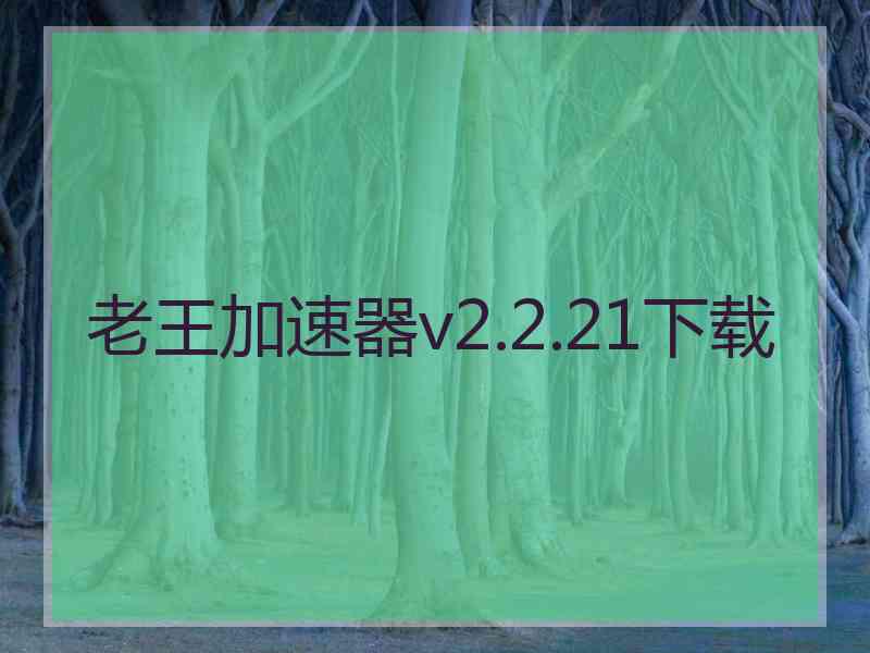 老王加速器v2.2.21下载