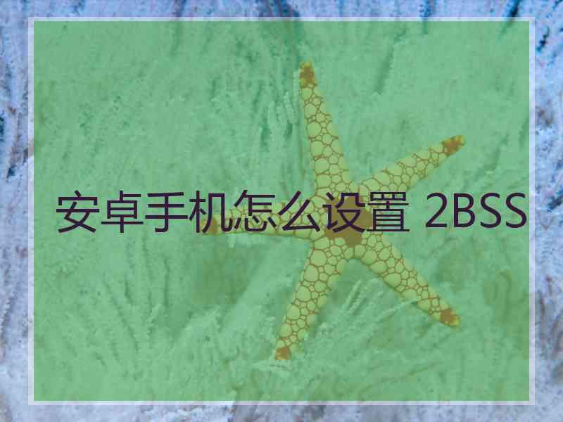 安卓手机怎么设置 2BSS