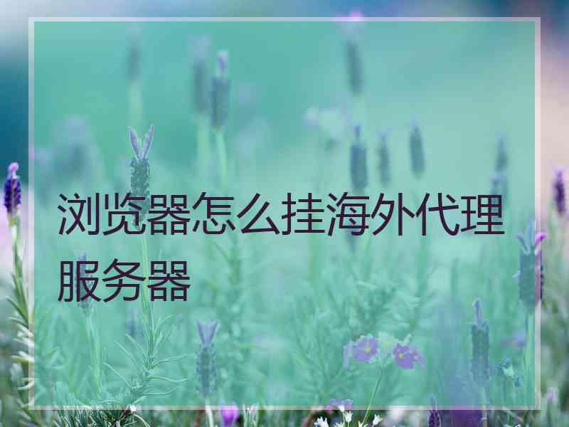 浏览器怎么挂海外代理服务器