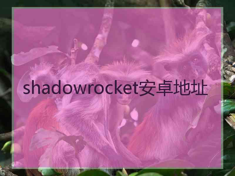 shadowrocket安卓地址