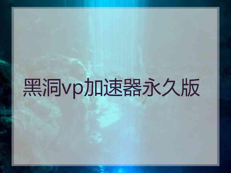 黑洞vp加速器永久版