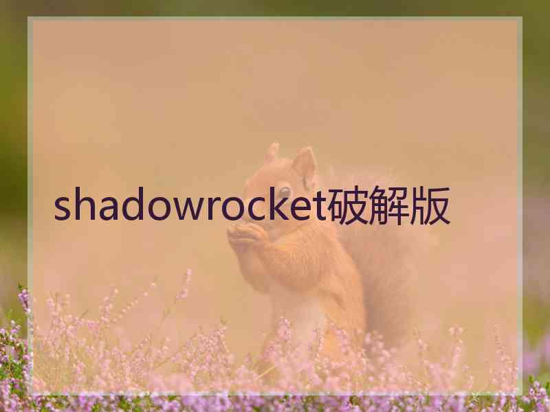 shadowrocket破解版